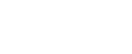 logo nurtifisio